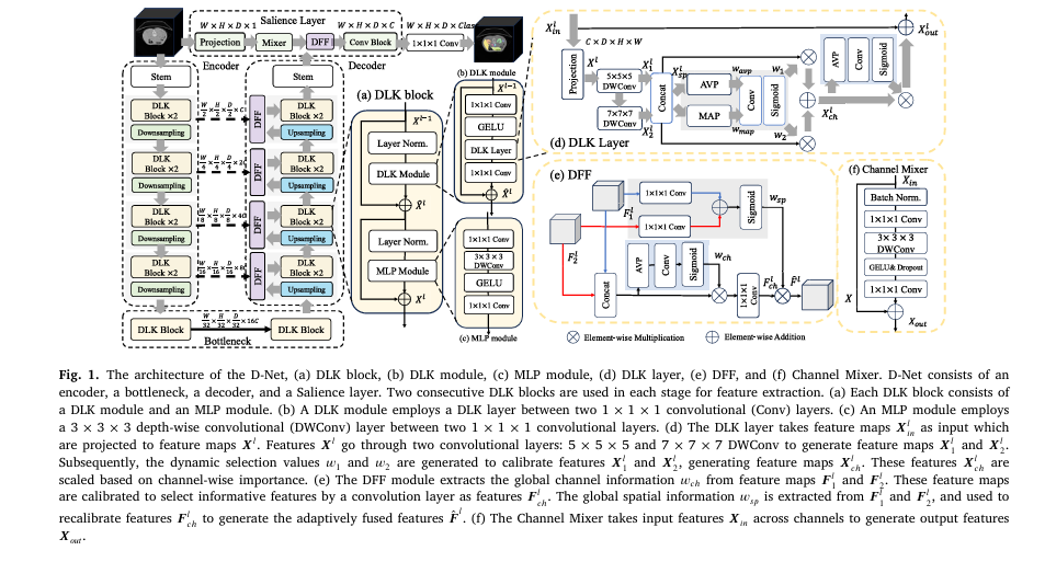 D-Net: A New Frontier in AI-Powered Medical Image Segmentation