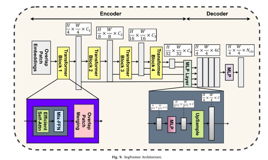 BrainDx AI Framework for Brain Tumor Diagnosis