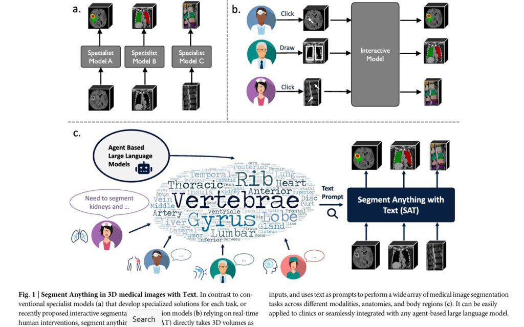 Segment Anything with Text: Revolutionary AI Foundation Model Transforms 3D Medical Image Segmentation