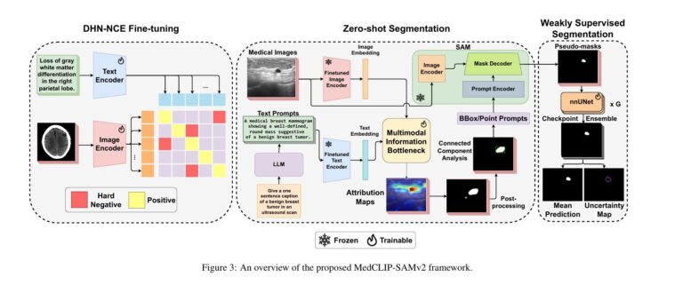 Overview of MedCLIP-SAMv2 model