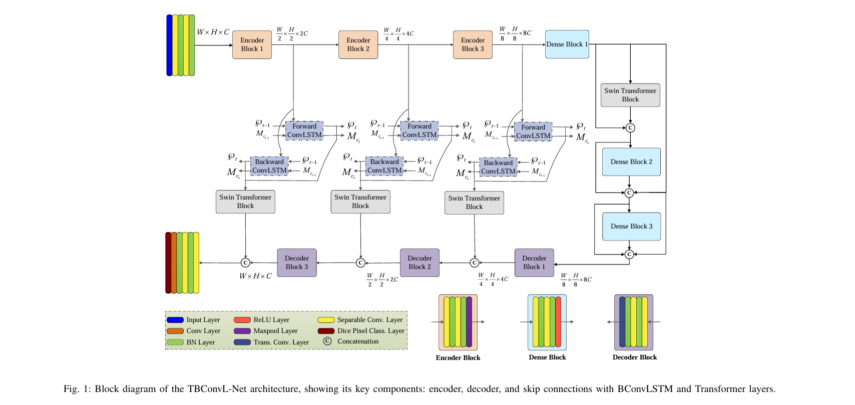 Grid of medical imaging modalities including skin lesion, thyroid ultrasound, and brain MRI scans with segmentation masks overlaid