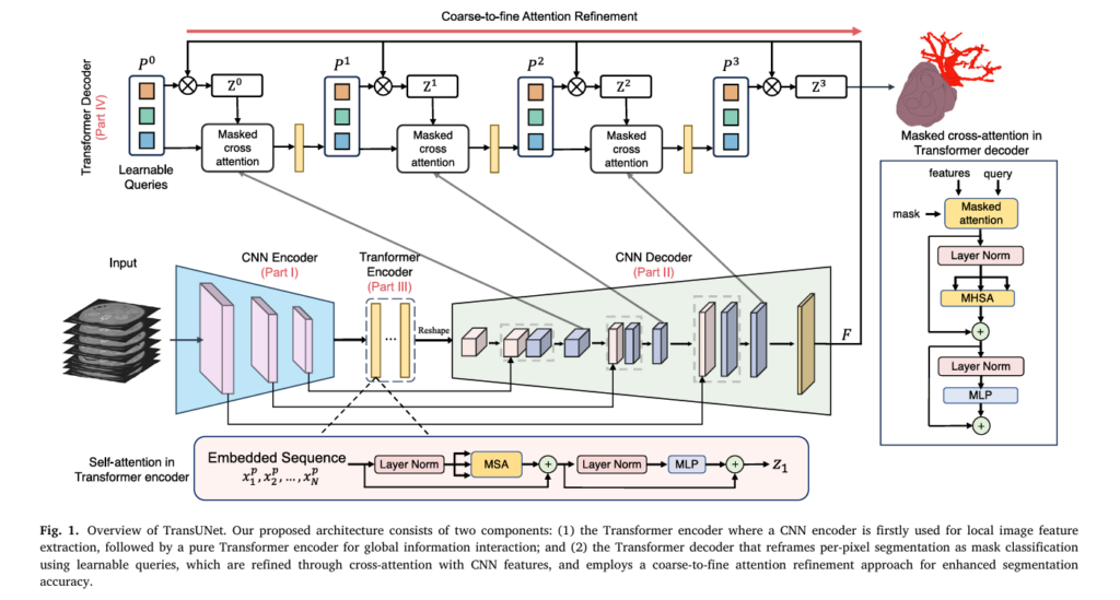 TransUNet: How Transformer Architecture Revolutionizes Medical Image Segmentation