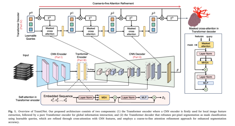 TransUNet: How Transformer Architecture Revolutionizes Medical Image Segmentation