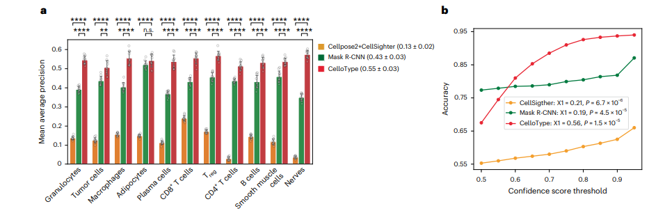 A line chart comparing classification accuracy against confidence score threshold for CelloType, CellSighter, and Mask R-CNN, with CelloType showing a much steeper upward trend