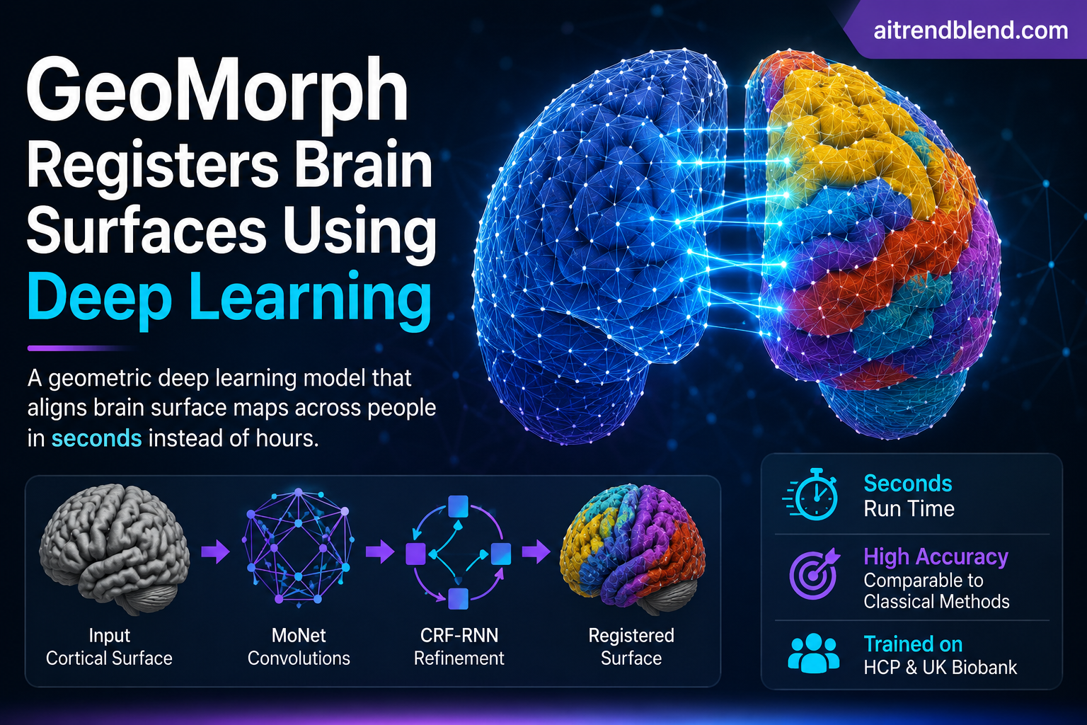 Sphere shaped brain surface mesh with control points and label points used for GeoMorph cortical registration