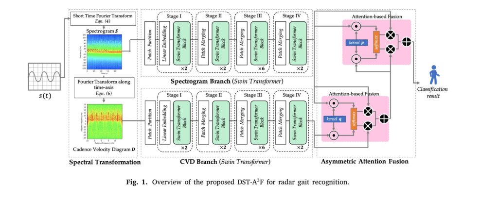 Radar Gait Recognition Using Swin Transformers: Beyond Video Surveillance