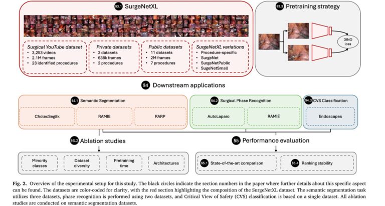 SurgeNetXL: Revolutionizing Surgical Computer Vision with Self-Supervised Learning