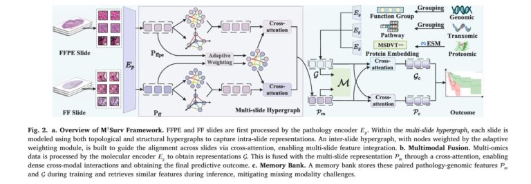 M³Surv: How AI Revolutionizes Cancer Survival Prediction with Multi-Slide and Multi-Omics Integration