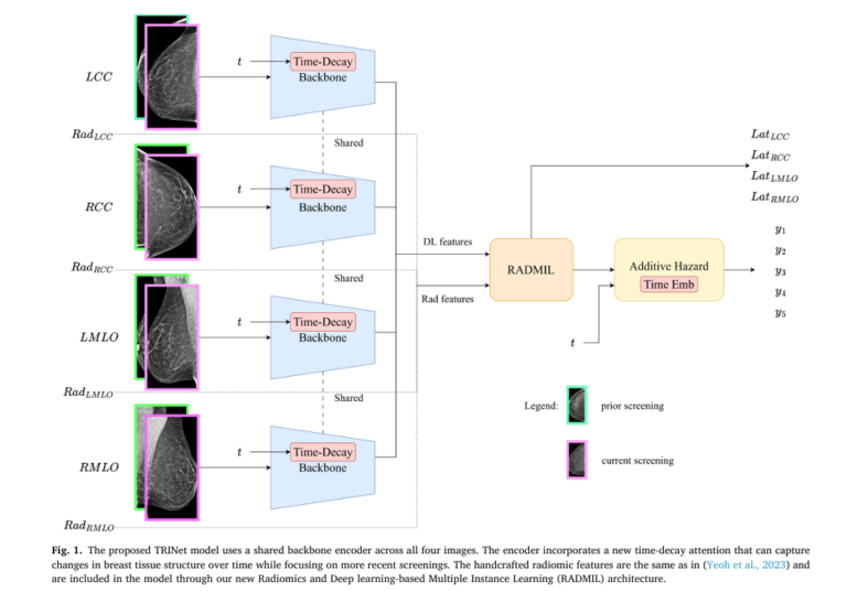 TRINet: How Advanced AI Is Revolutionizing Personalized Breast Cancer Risk Prediction