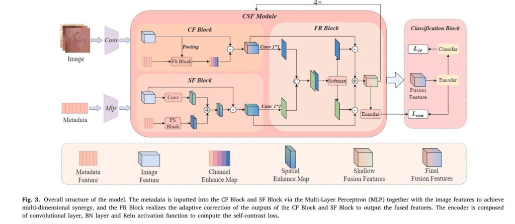 Detect Skin Cancer More Accurately: A Deep Dive into Multimodal Deep Learning
