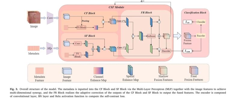 Detect Skin Cancer More Accurately: A Deep Dive into Multimodal Deep Learning