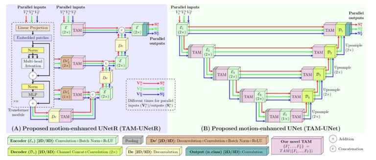 TAM: Plug-and-Play Temporal Attention Module for Motion-Guided Cardiac Segmentation