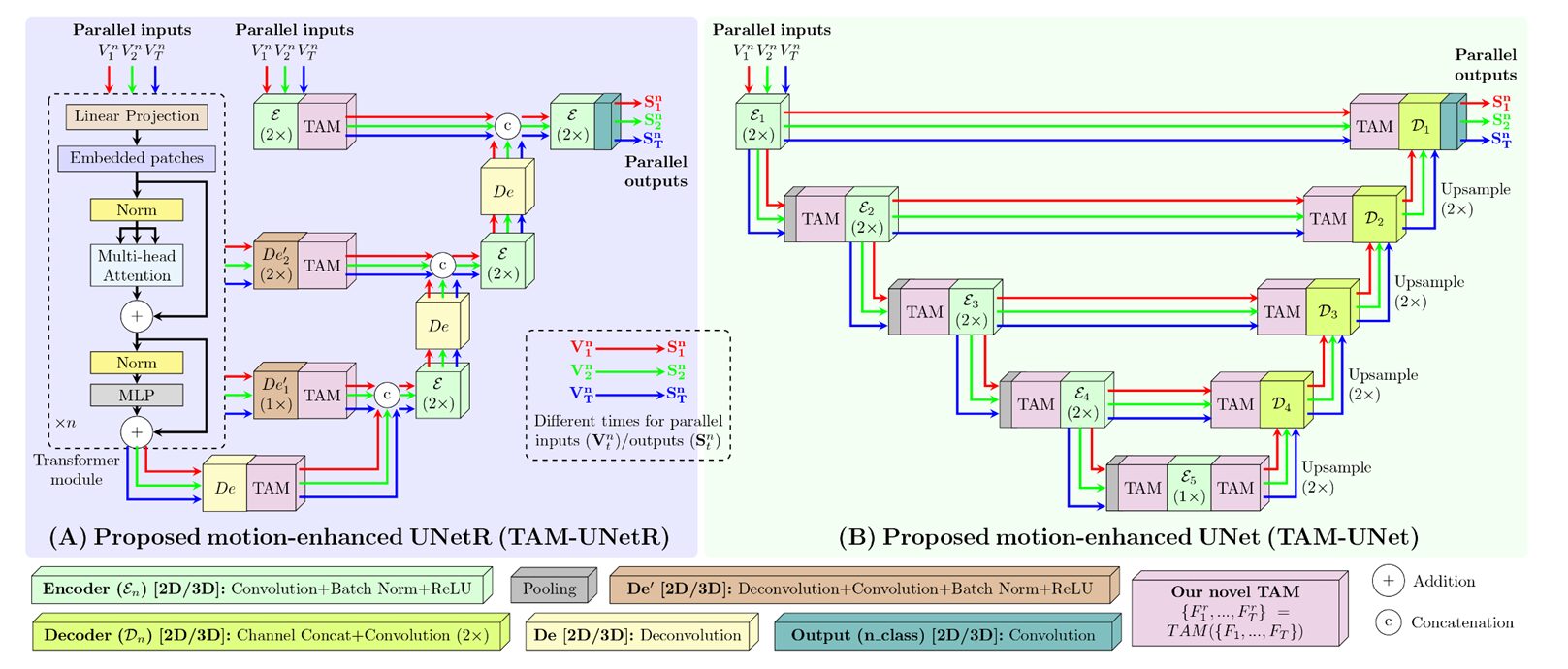 Diagram of the TAM Temporal Attention Module integrated into UNet for motion-guided cardiac segmentation showing cross-frame attention flow between end-diastole and end-systole frames