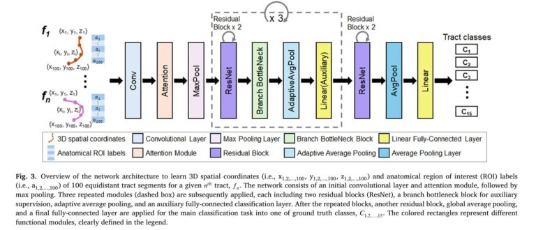 the proposed ESM-AnatTractNet model