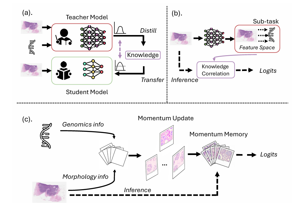 Histopathology slide of breast cancer tissue