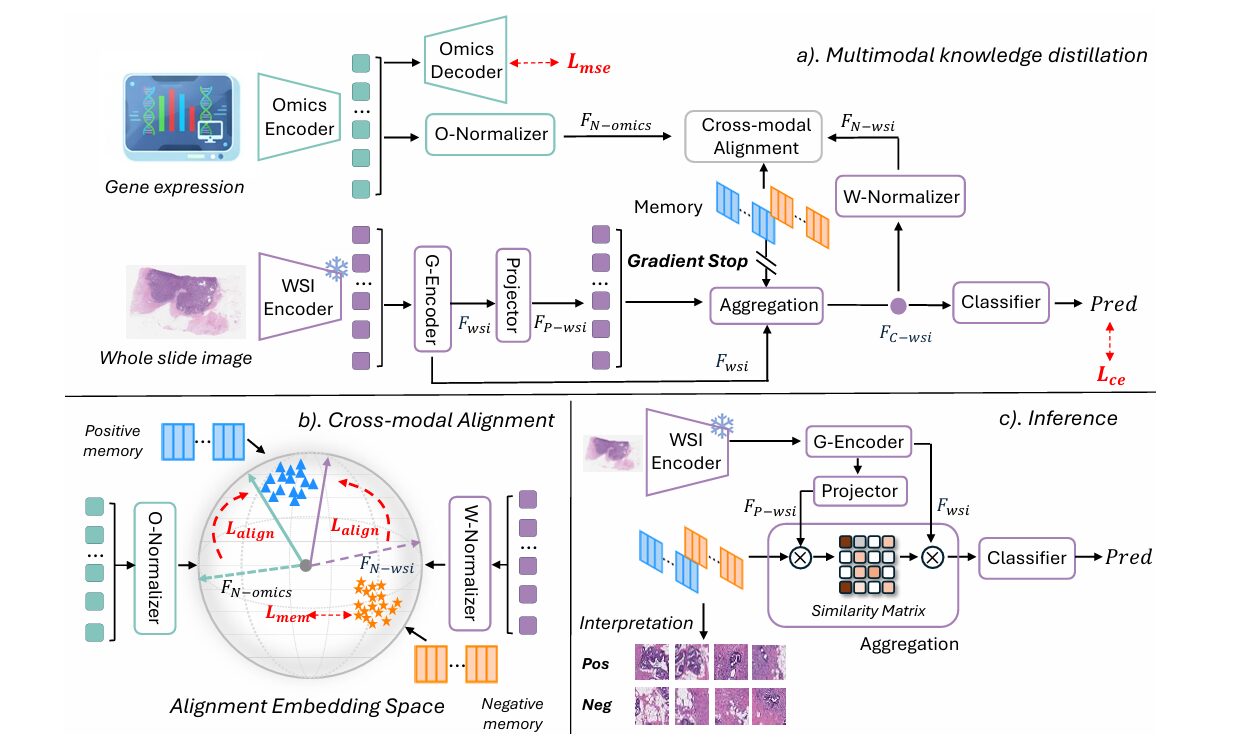 Knowledge distillation and multimodal learning framework