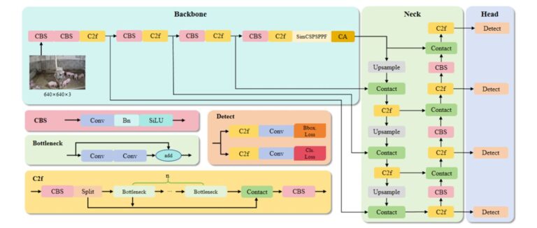 AI Reads Pig Body Temperature From Two Meters Away USING YOLOv8-PT