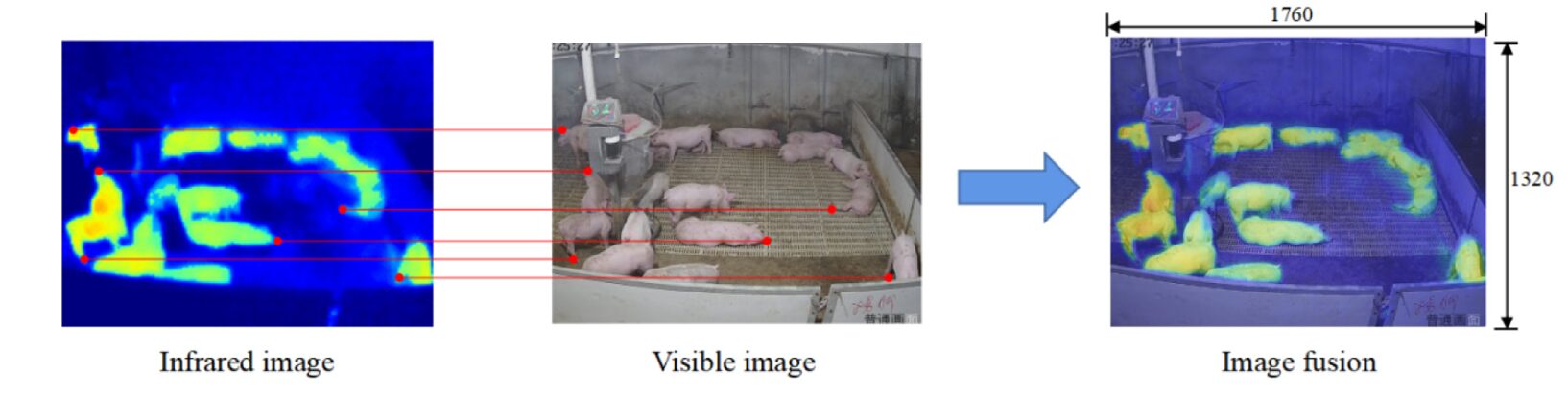 Structural Causal Model diagram showing nodes S, U, F, X, Y, E