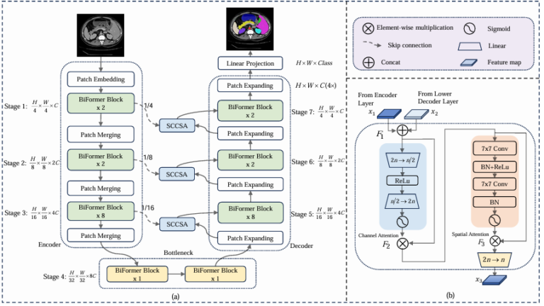 BRAU-Net++: The Hybrid CNN-Transformer That Rethinks Sparse Attention for Medical Image Segmentation.