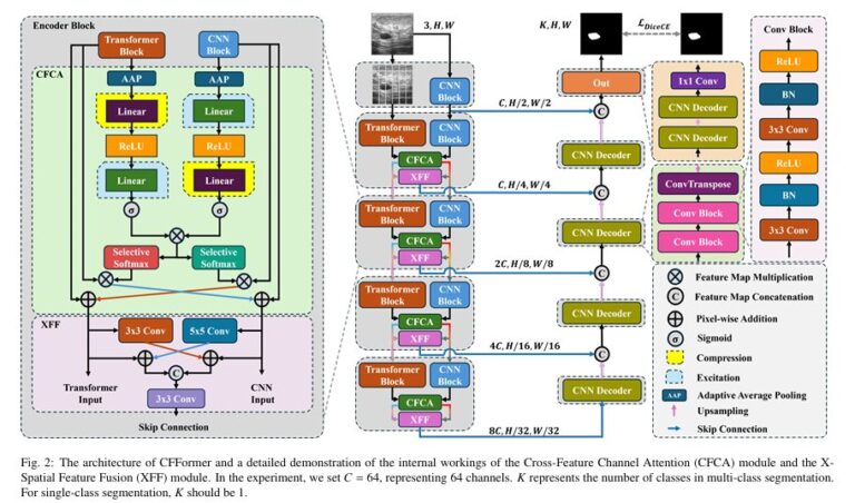 CFFormer: Cross CNN-Transformer Attention Model