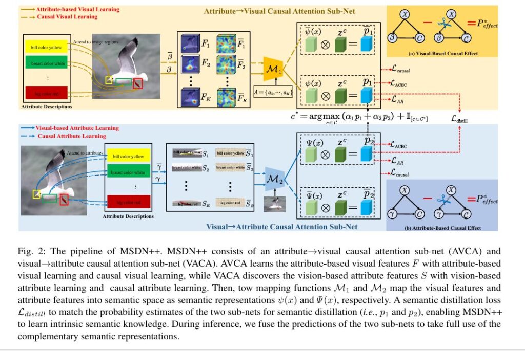 MSDN++: The Zero-Shot Learner That Uses Causality to Stop Guessing.