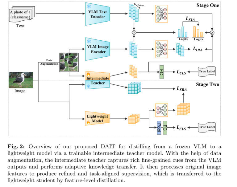DAIT: Distilling CLIP into Tiny Classifiers with an Adaptive Intermediate Teacher