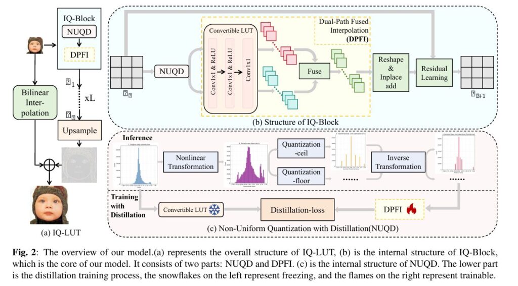 IQ-LUT: 34 KB of Super-Resolution That Beats 1.5 MB Models.