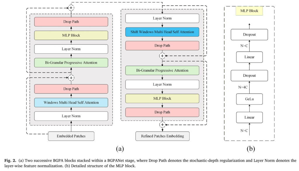 BGPANet: How Bi-Granular Progressive Attention Cracked the Skin Cancer Diagnosis Problem