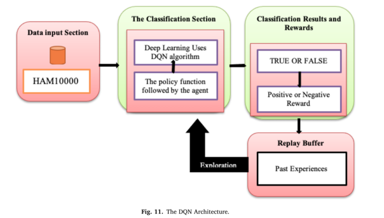 Class-Weighted DQN for Skin Cancer Classification.