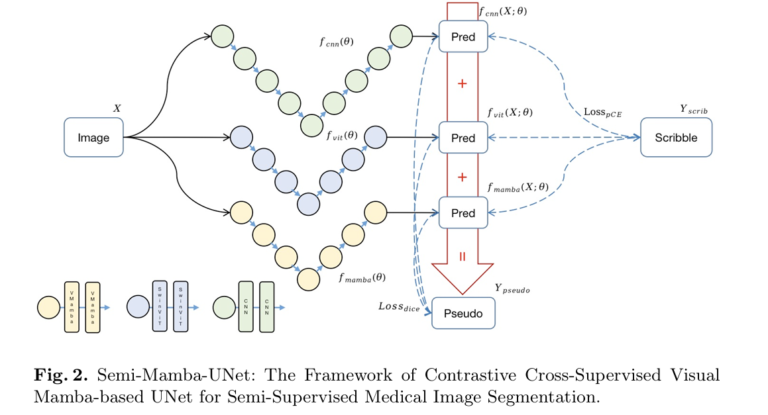 Weak-Mamba-UNet: How CNN, ViT, and Visual Mamba Collaborate to Segment Medical Images from Scribbles