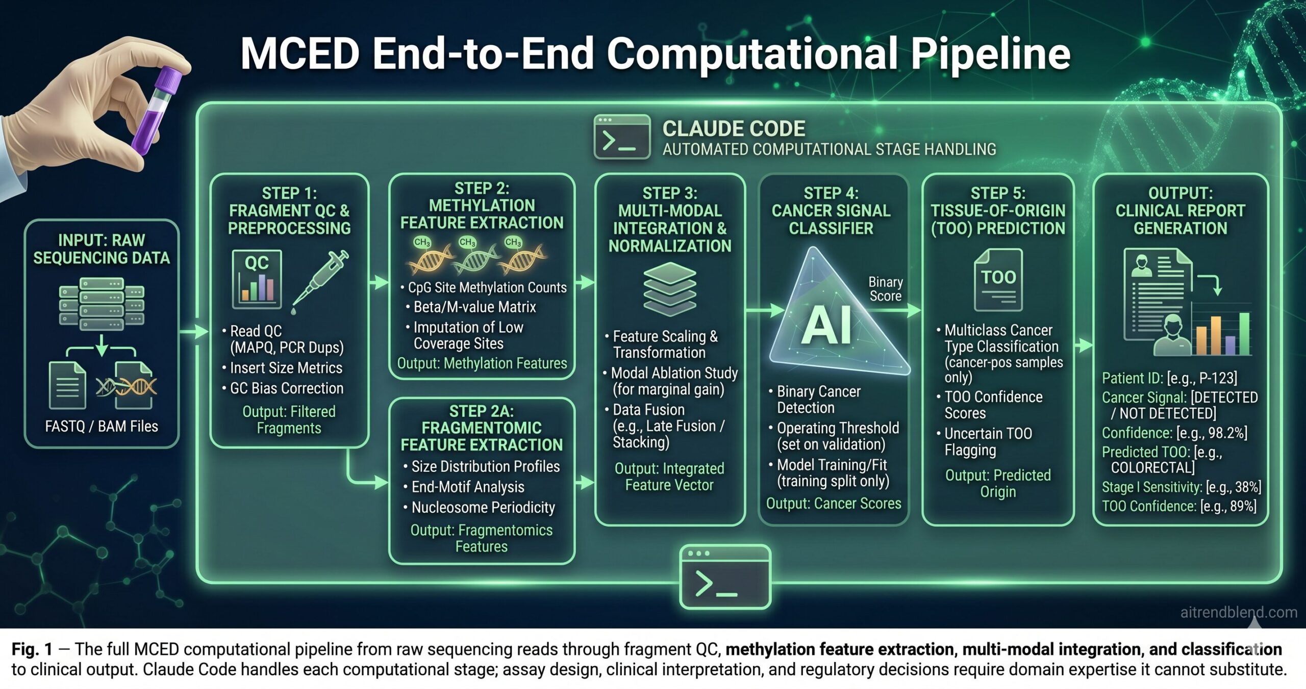 Liquid biopsy and AI for multi-cancer early detection — visualization of cfDNA methylation patterns and machine learning classifiers detecting cancer signals in circulating blood