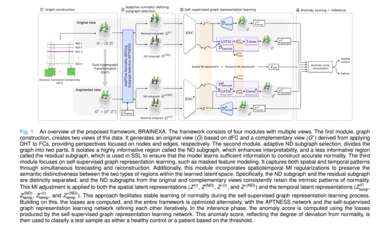 BRAINEXA: Explainable Normative Modeling Detects Brain Disorders from fMRI Without Label.
