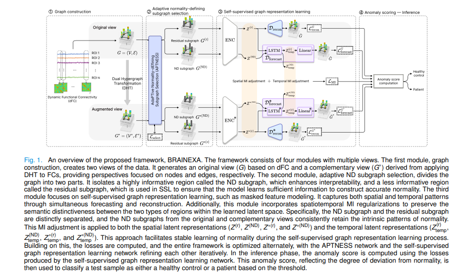 BRAINEXA: Explainable Normative Modeling Detects Brain Disorders from fMRI Without Label.
