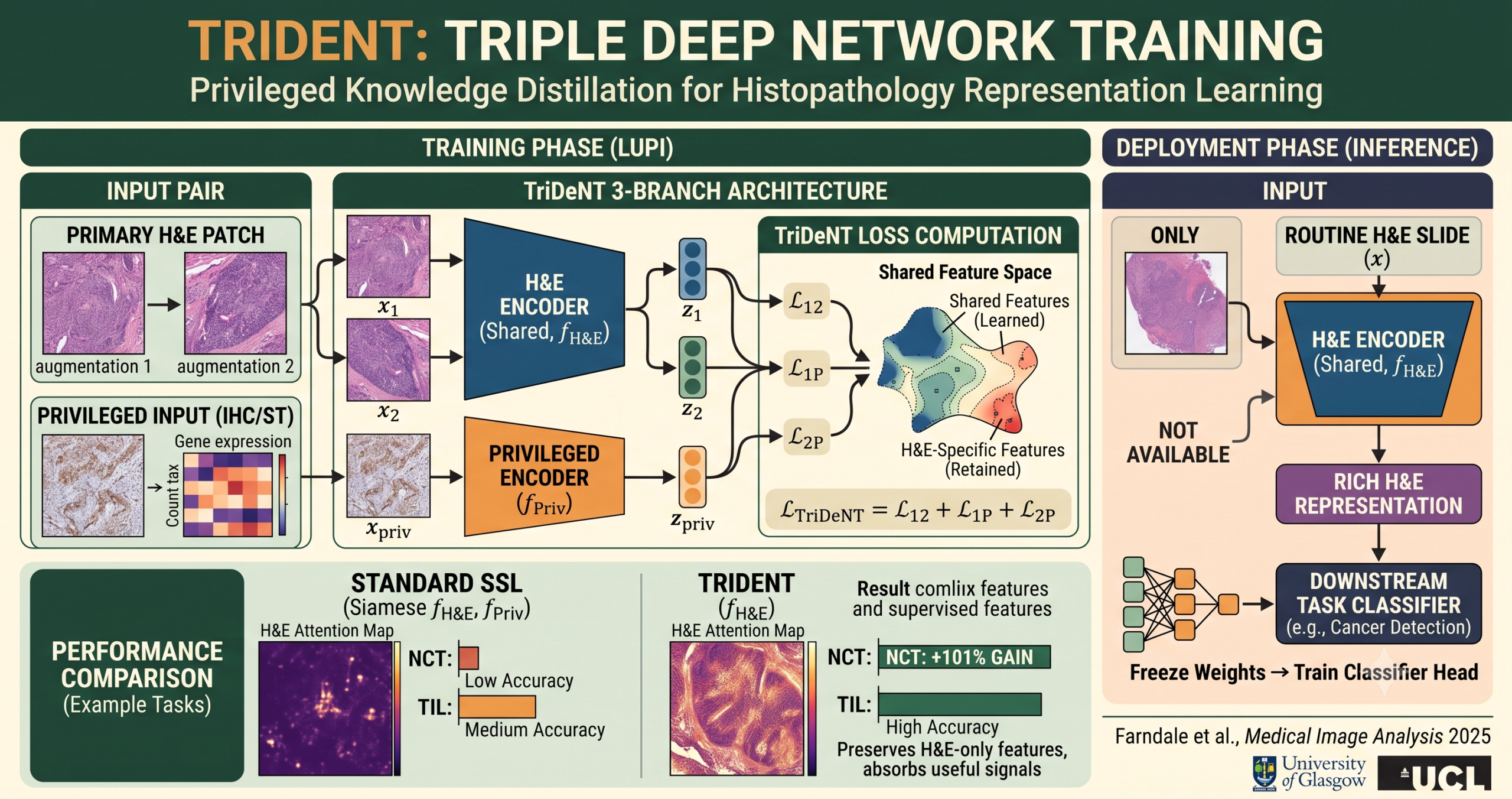TriDeNT three-branch self-supervised architecture showing primary H&E encoder paired with privileged IHC and spatial transcriptomics encoders for histopathology representation learning without privileged data at inference