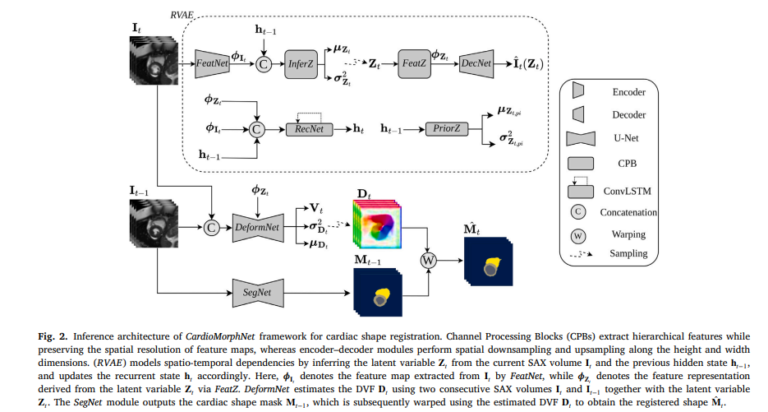 CardioMorphNet: Shape-Guided Bayesian Recurrent Deep Learning for 3D Cardiac Motion Estimation.