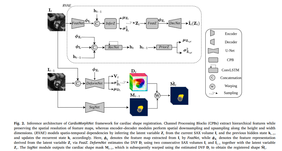 CardioMorphNet architecture diagram showing recurrent variational autoencoder, DeformNet, and SegNet components for 3D shape-guided cardiac motion estimation from short-axis CMR images