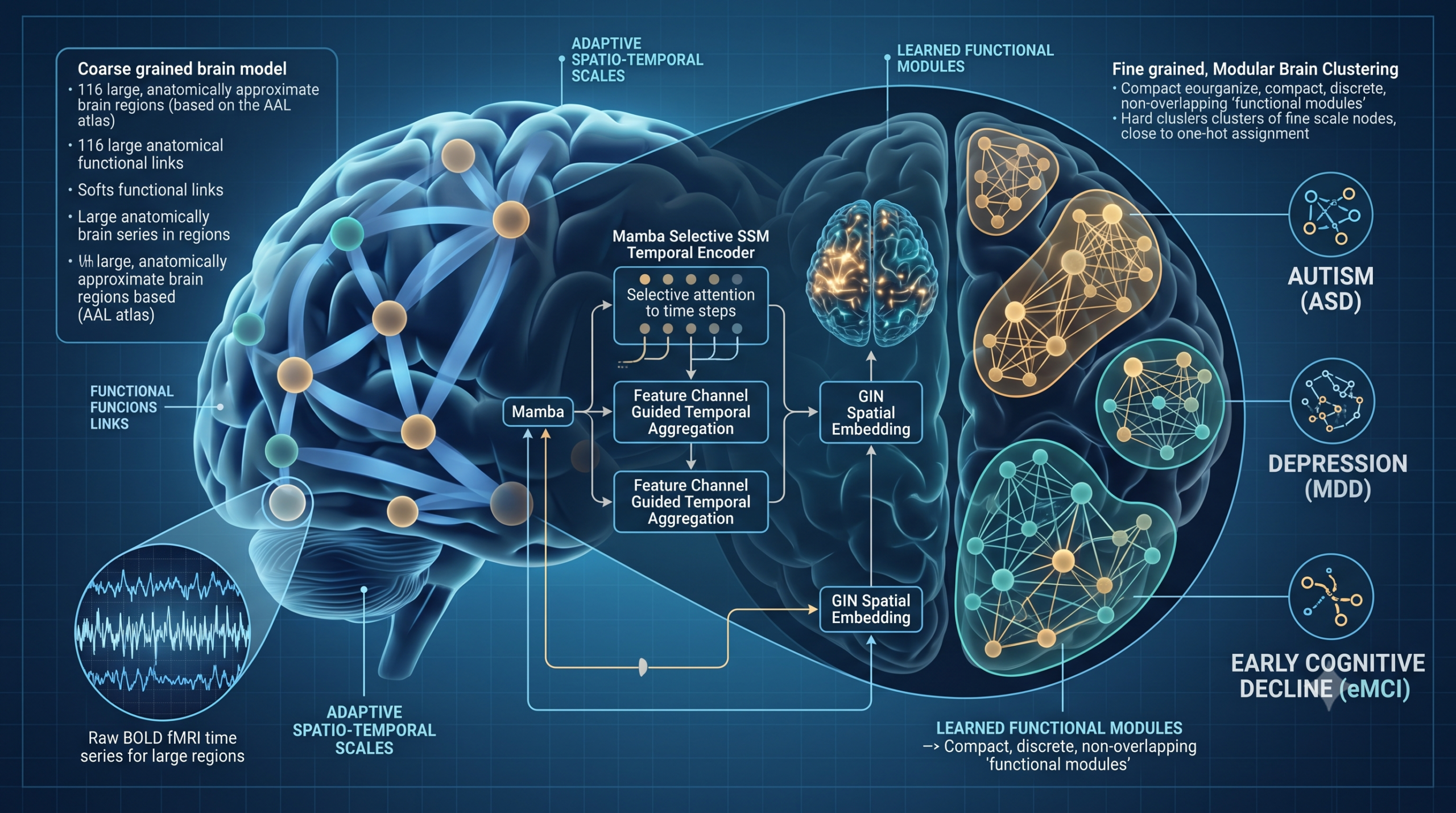 Brain scan with a graph network overlay showing coarse and fine grained regions of interest connected by functional links