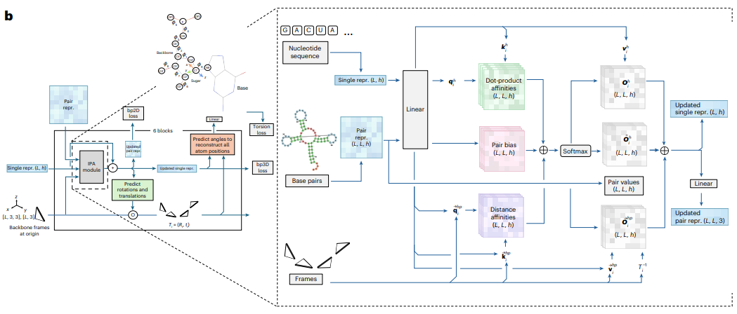 RNAbpFlow architecture diagram showing the invariant point attention stack that updates single and pair representations using nucleotide sequence and base pair maps
