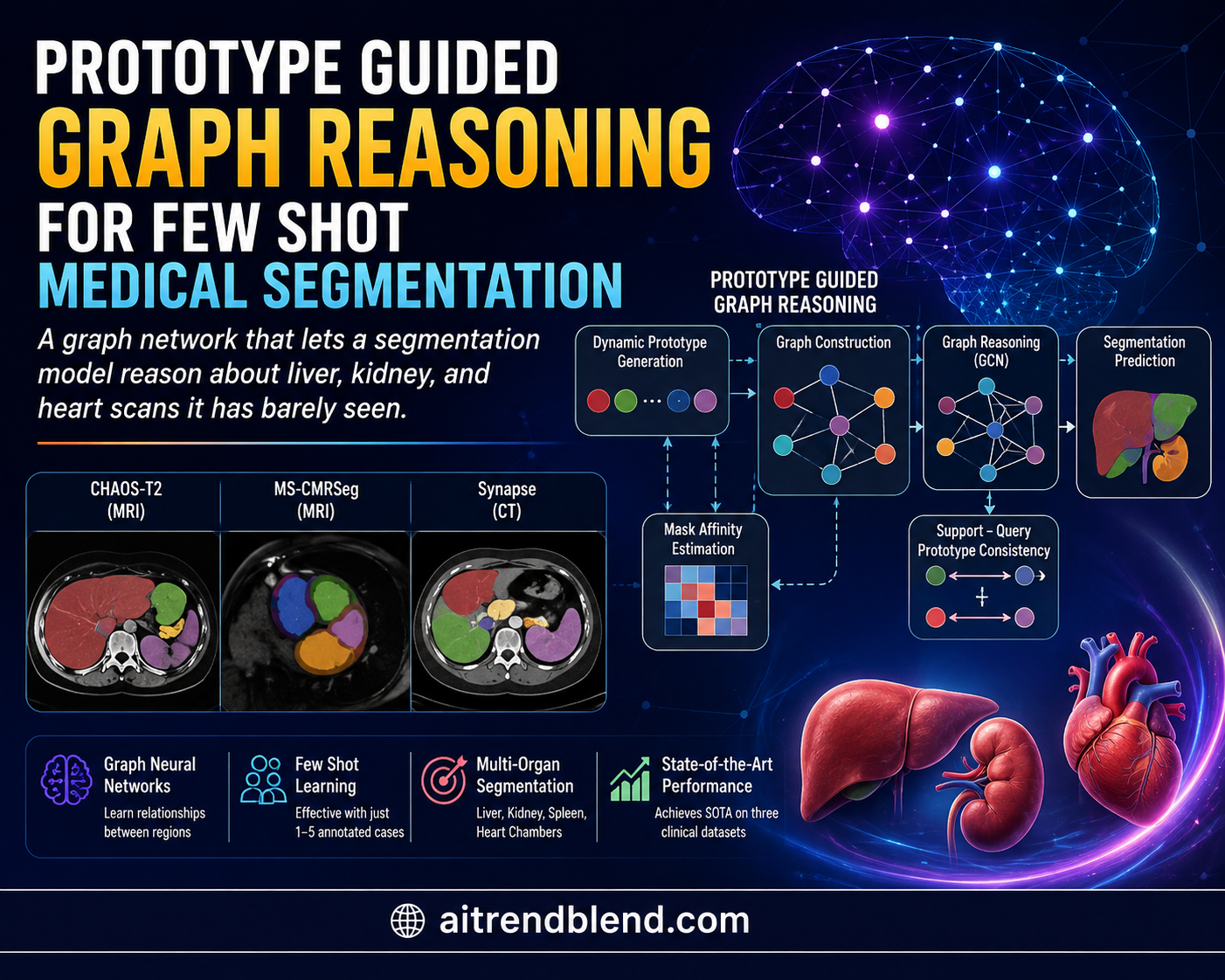 Abdominal MRI scan slices used to study kidney liver and spleen segmentation with few labeled examples