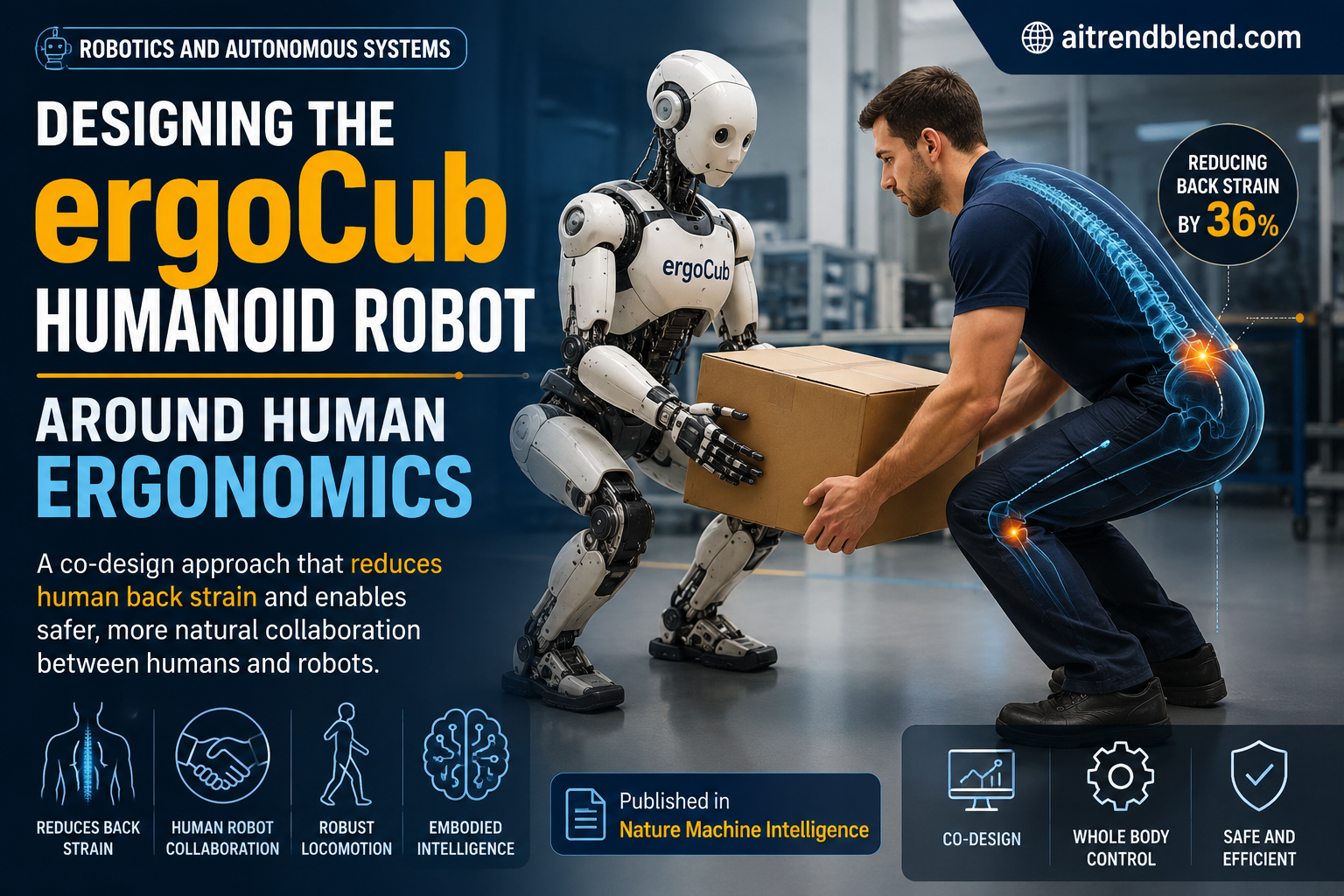 The ergoCub humanoid robot lifting a payload together with a human worker, its body and control optimized to reduce strain on the person's lower back