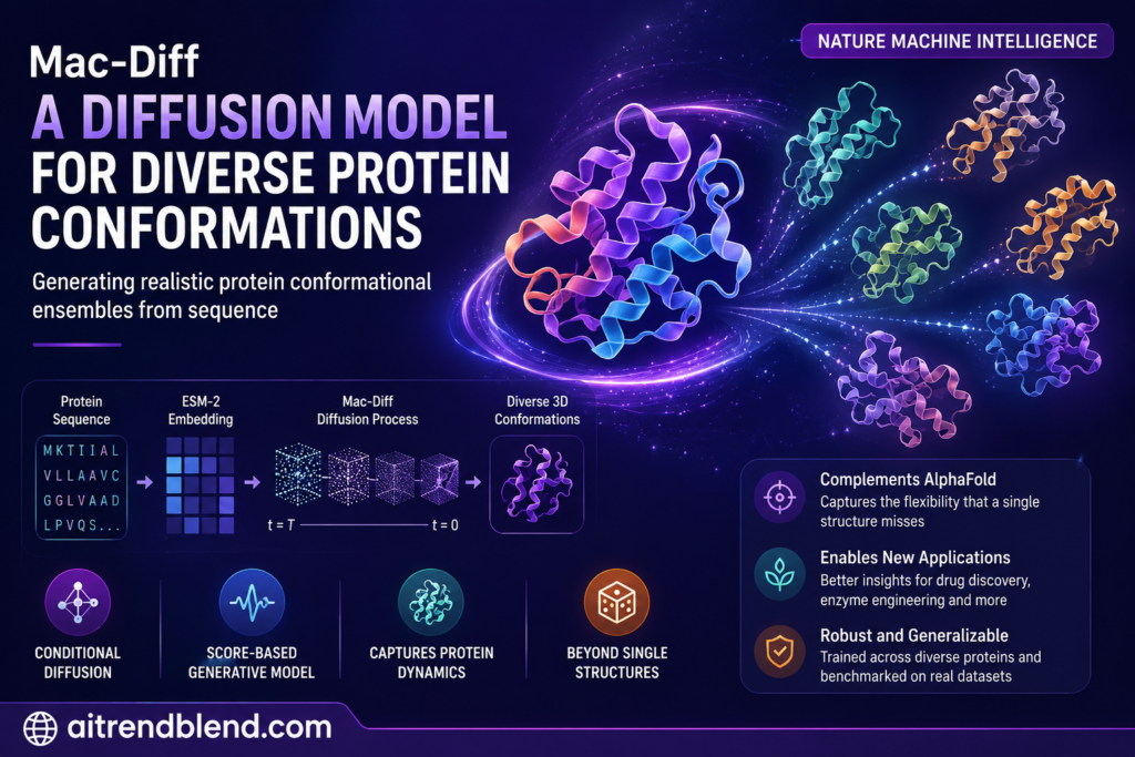 Mac-Diff: A Diffusion Model for Diverse Protein Conformations