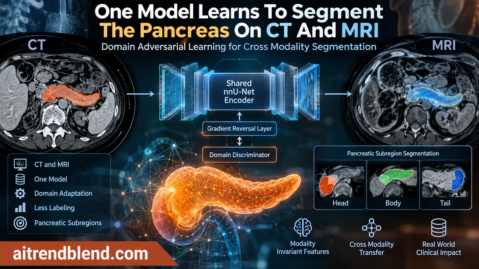 Abdominal CT and MRI scans side by side showing pancreas segmentation with a shared AI encoder trained across both imaging modalities