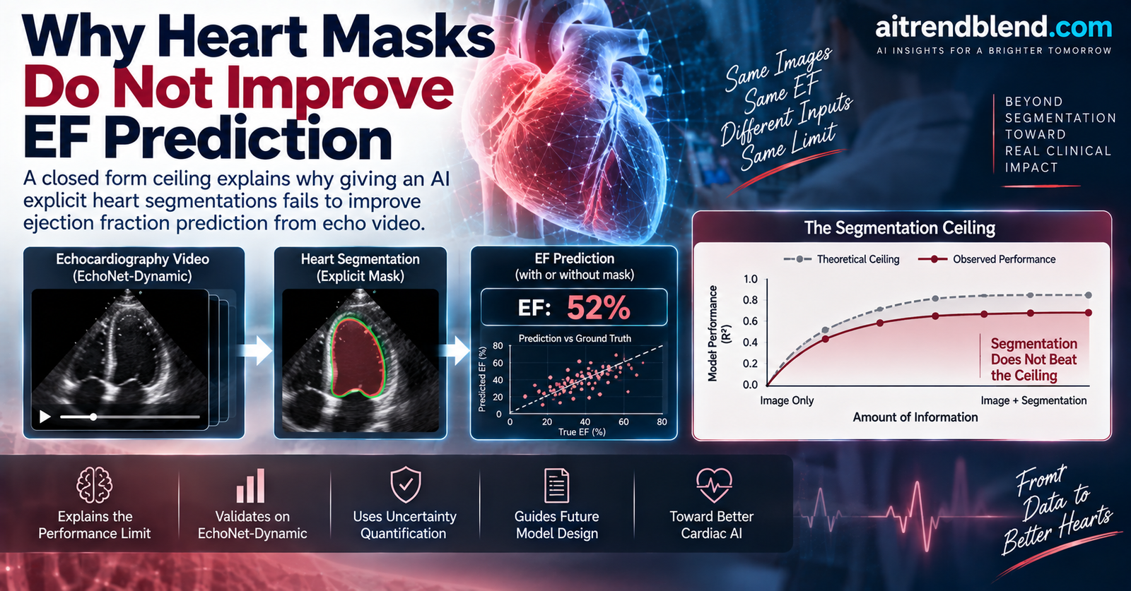 Two echocardiogram frames of the left ventricle at end diastole and end systole with expert tracings, beside a curve showing how area error amplifies into ejection fraction error