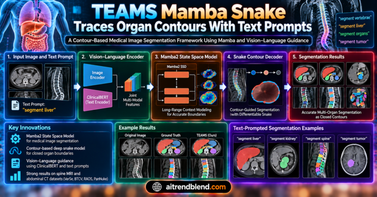 TEAMS Mamba Snake Traces Organ Contours With Text Prompts