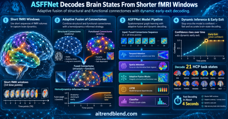 ASFFNet Decodes Brain States From Shorter fMRI Windows